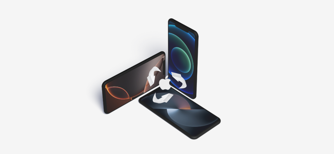 exc-67153fabfa25590d4717c671