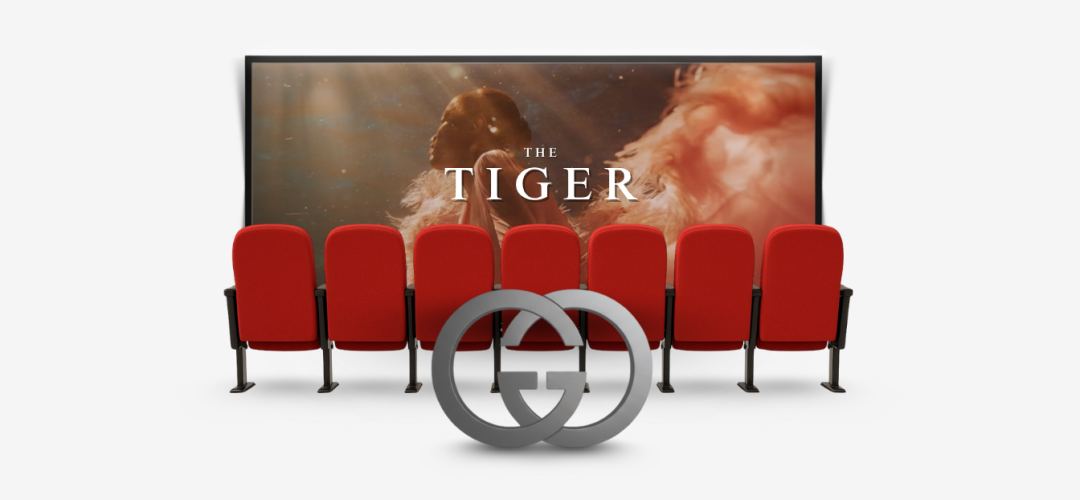 Imagem New - Agosto (19)