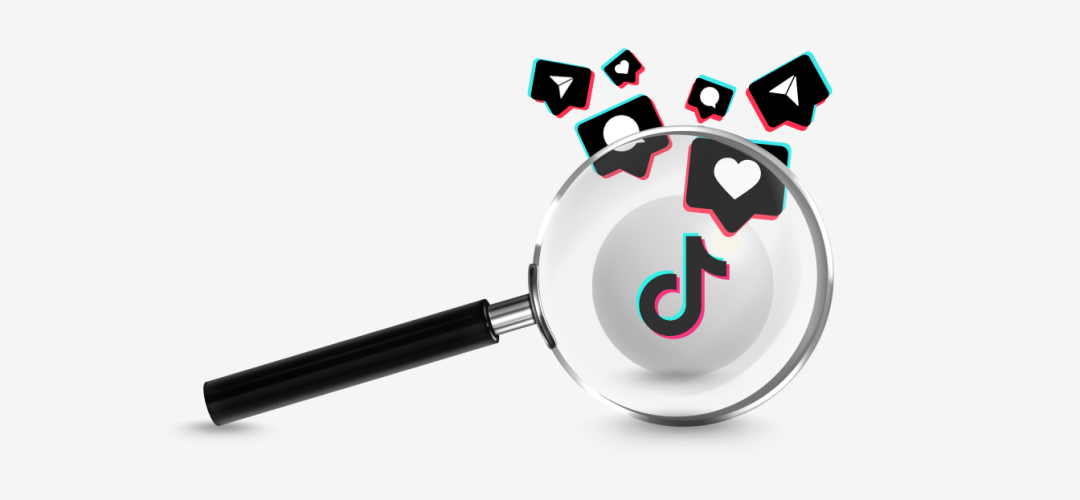 Imagem New - Agosto (45)