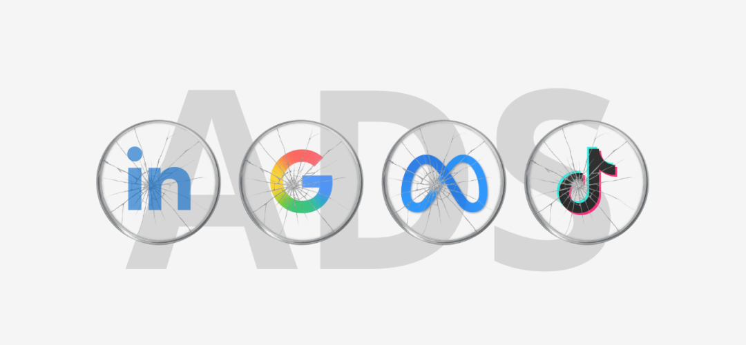 Imagem New - Agosto (46)