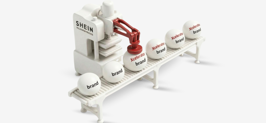 Imagem News (23) (1)